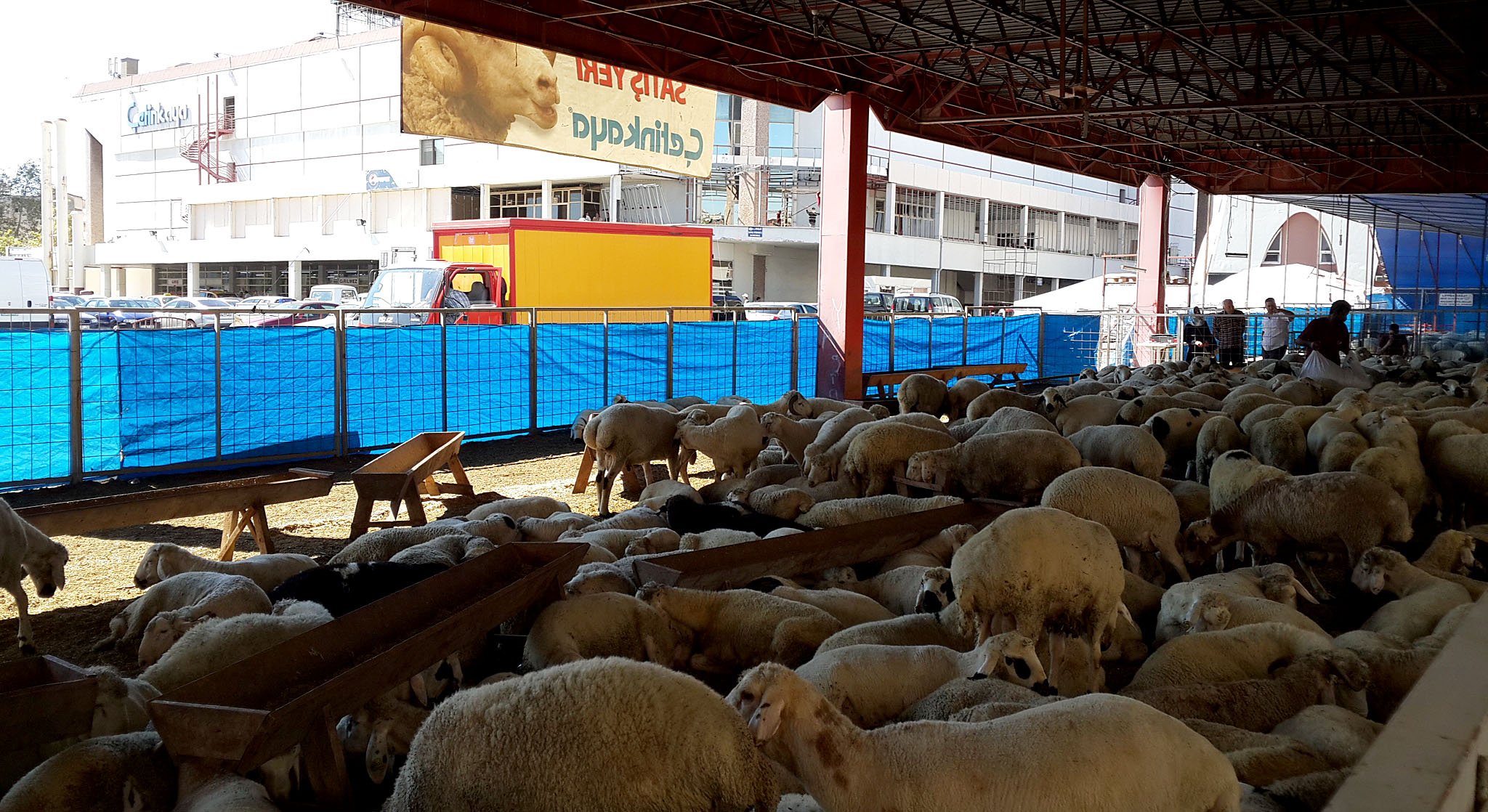 Çetinkaya'dan Kurban Bayramı'na Özel Hizmetler