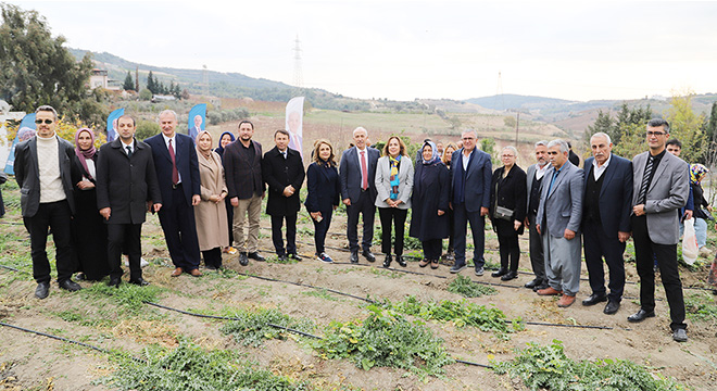 Şevketi Bostan hasat edildi